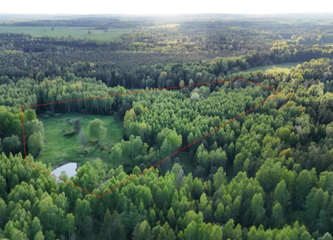 Parduodamas sklypas Luokesos k., Molėtų r. sav., 450 a ploto Parduodamas sklypas Luokesos k., Molėtų r. sav., 450 a ploto