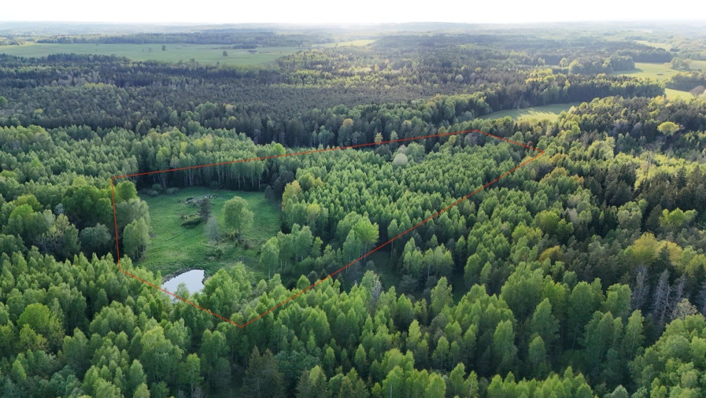 Parduodamas  sklypas Luokesos k., Molėtų r. sav., 450 a ploto 1