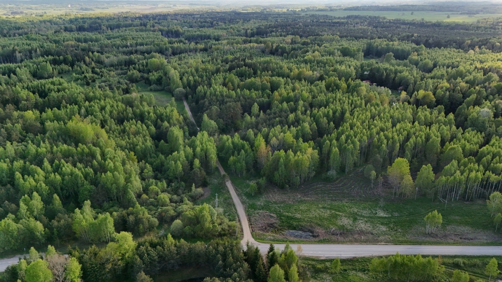 Parduodamas  sklypas Luokesos k., Molėtų r. sav., 450 a ploto 4