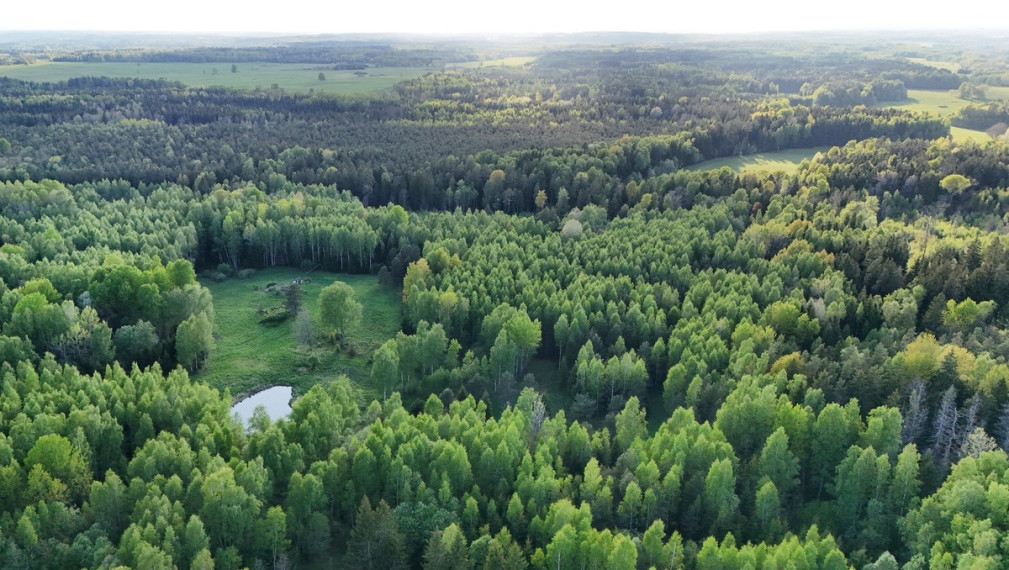 Parduodamas  sklypas Luokesos k., Molėtų r. sav., 450 a ploto 6