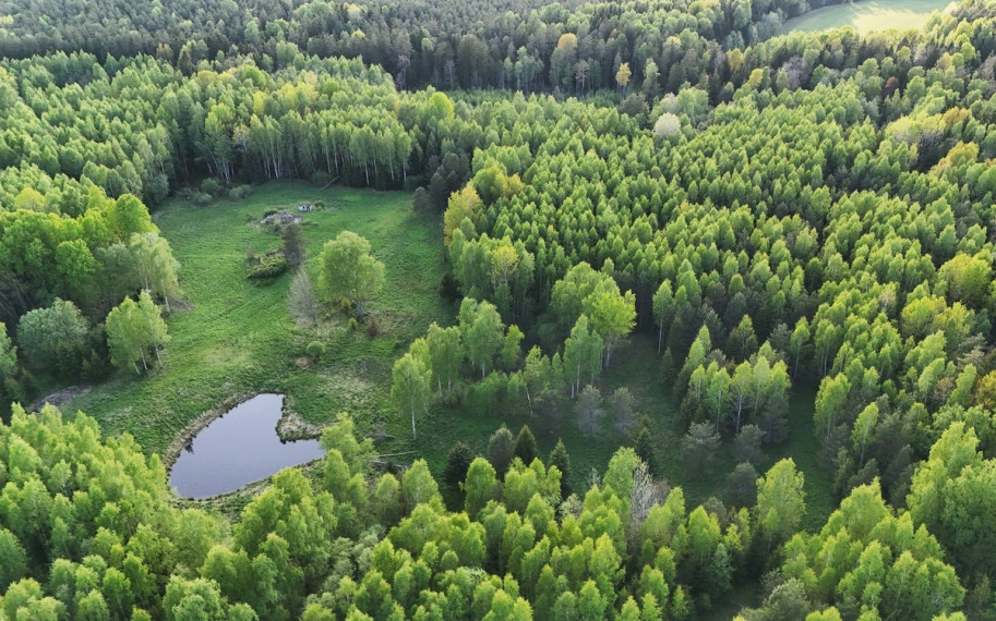 Parduodamas  sklypas Luokesos k., Molėtų r. sav., 450 a ploto 7
