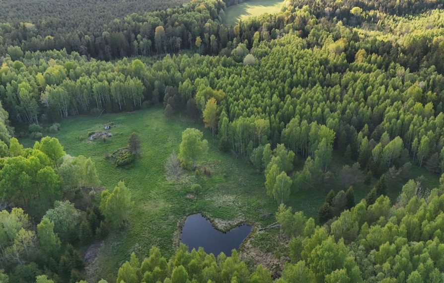 Parduodamas  sklypas Luokesos k., Molėtų r. sav., 450 a ploto 8