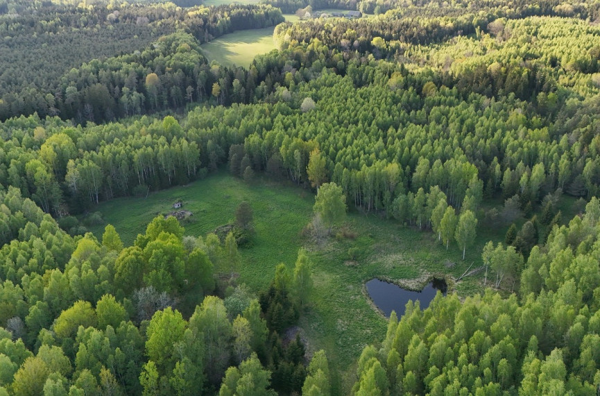 Parduodamas  sklypas Luokesos k., Molėtų r. sav., 450 a ploto 9