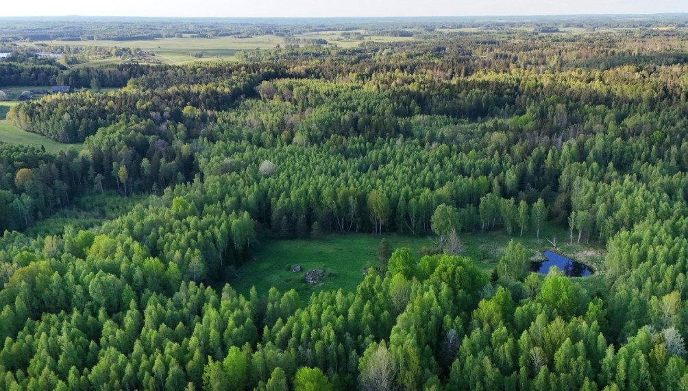 Parduodamas  sklypas Luokesos k., Molėtų r. sav., 450 a ploto 10