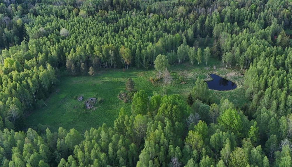 Parduodamas  sklypas Luokesos k., Molėtų r. sav., 450 a ploto 11