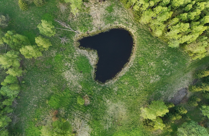 Parduodamas  sklypas Luokesos k., Molėtų r. sav., 450 a ploto 12