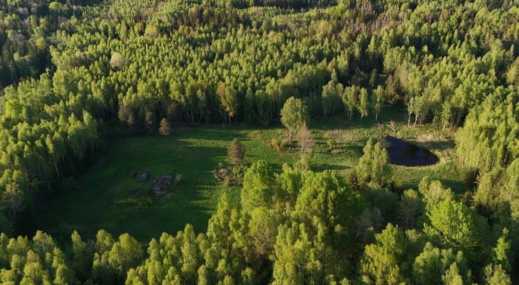 Parduodamas  sklypas Luokesos k., Molėtų r. sav., 450 a ploto 15