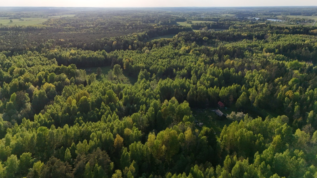 Parduodamas  sklypas Luokesos k., Molėtų r. sav., 450 a ploto 16