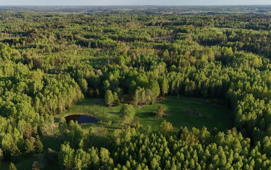 Parduodamas  sklypas Luokesos k., Molėtų r. sav., 450 a ploto 17