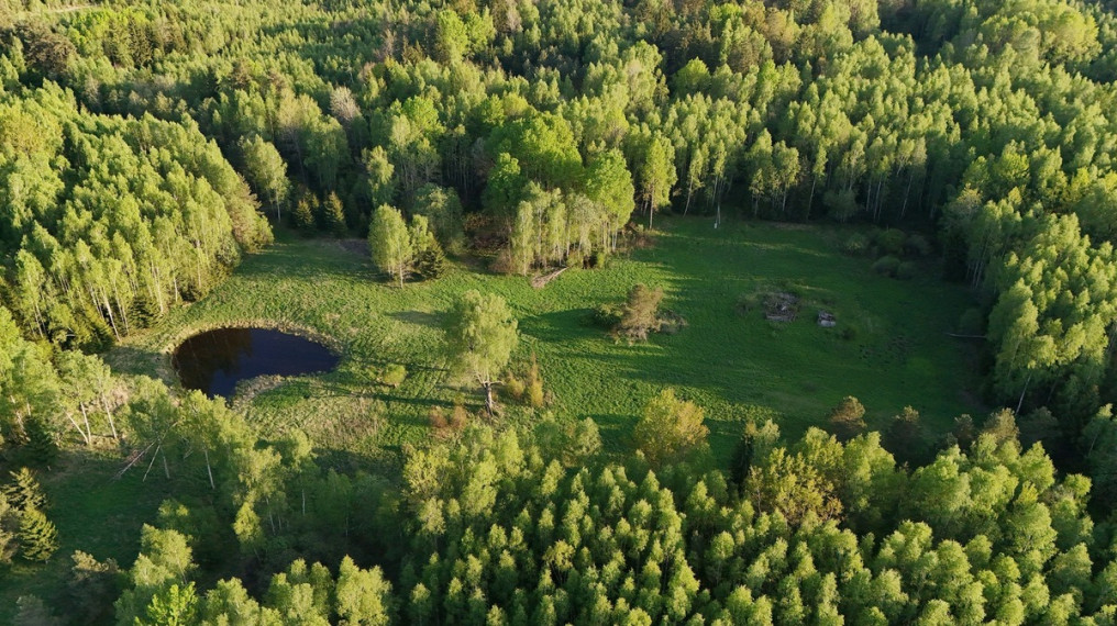 Parduodamas  sklypas Luokesos k., Molėtų r. sav., 450 a ploto 18