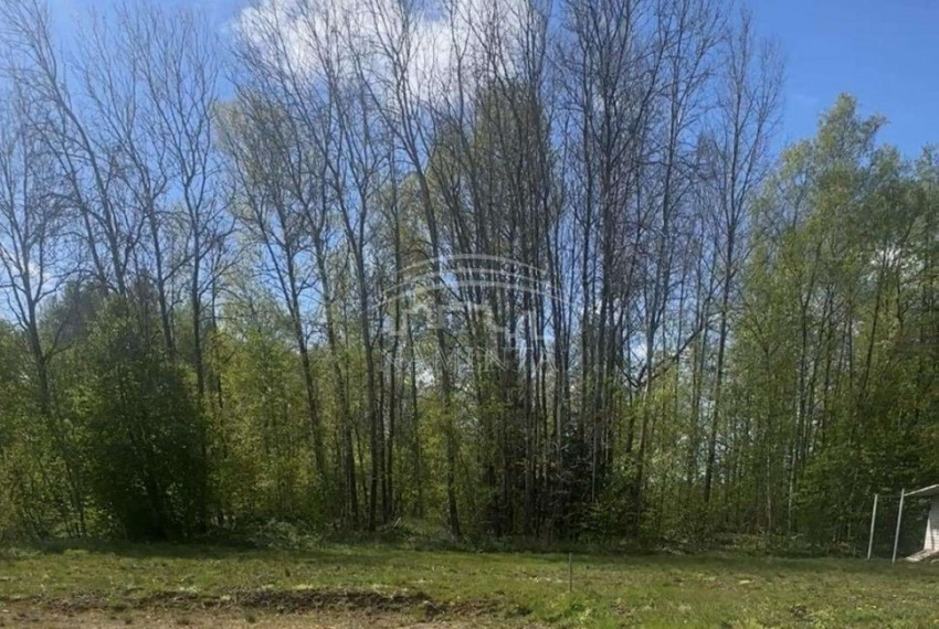 Parduodamas  sklypas Vaitelių k., Klaipėdos r. sav., 12 a ploto 4