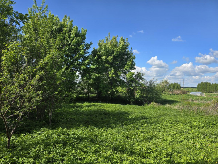 Parduodamas namas Molėtų m., Molėtų r. sav., 61.84 m² ploto 3 kambariai 10