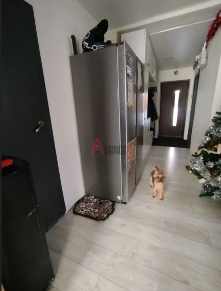 Parduodamas butas Jotvingių g., Mokyklos, Klaipėdos m., Klaipėdos m. sav., 60 m² ploto 3 kambariai 13
