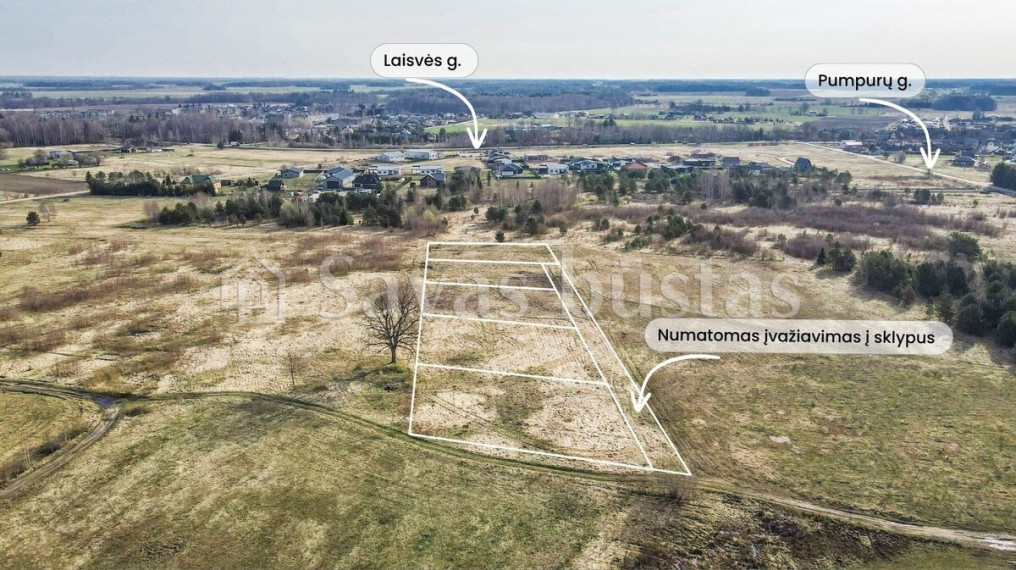 Parduodamas  sklypas Pumpurų g., Reivyčių k., Mažeikių r. sav., 16 a ploto 3