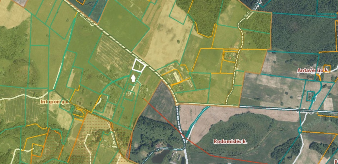 Parduodamas  sklypas Intuponių k., Prienų r. sav., 49 a ploto 4