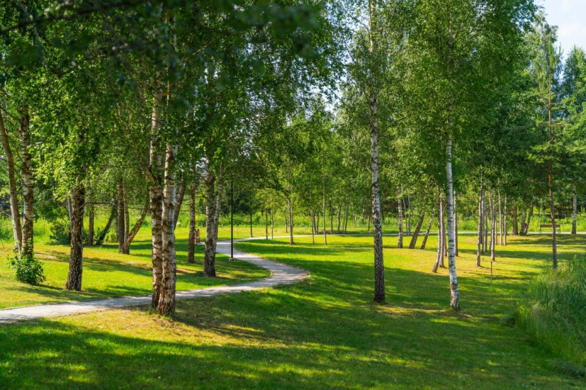 Parduodamas butas Karaliaučiaus g., Vilniaus m., Vilniaus m. sav., 32 m2 ploto, 2 kambariai 28