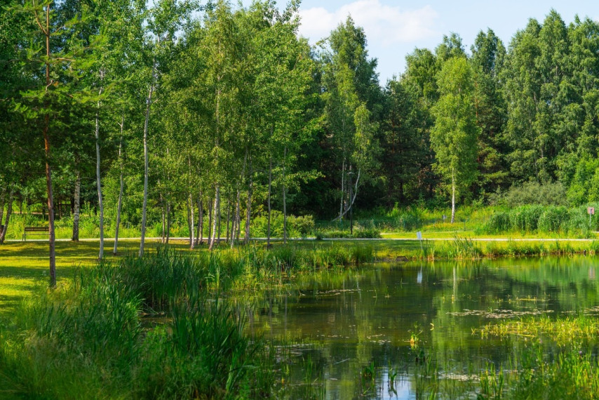Parduodamas butas Karaliaučiaus g., Vilniaus m., Vilniaus m. sav., 32 m2 ploto, 2 kambariai 29