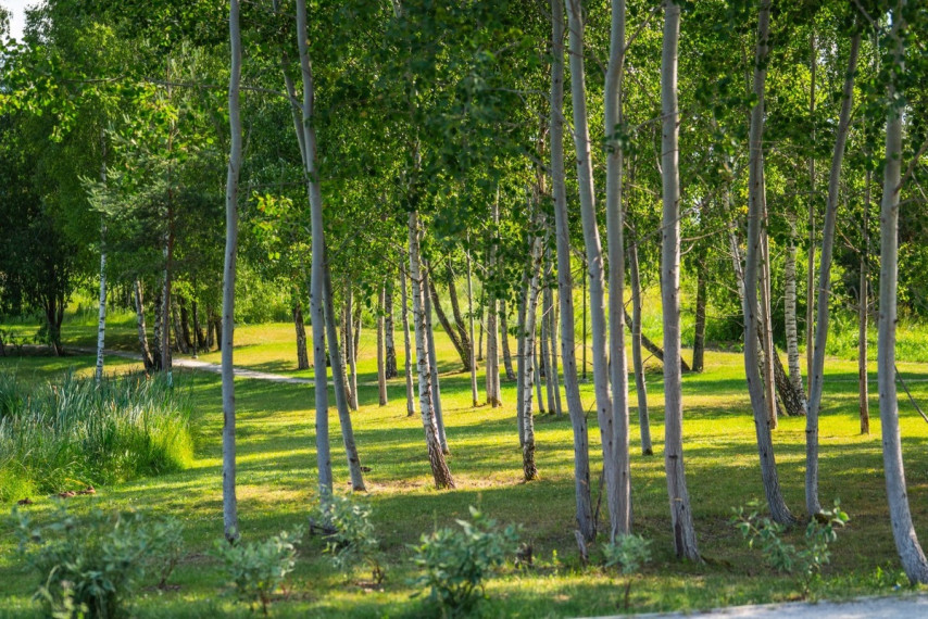 Parduodamas butas Karaliaučiaus g., Vilniaus m., Vilniaus m. sav., 32 m2 ploto, 2 kambariai 31