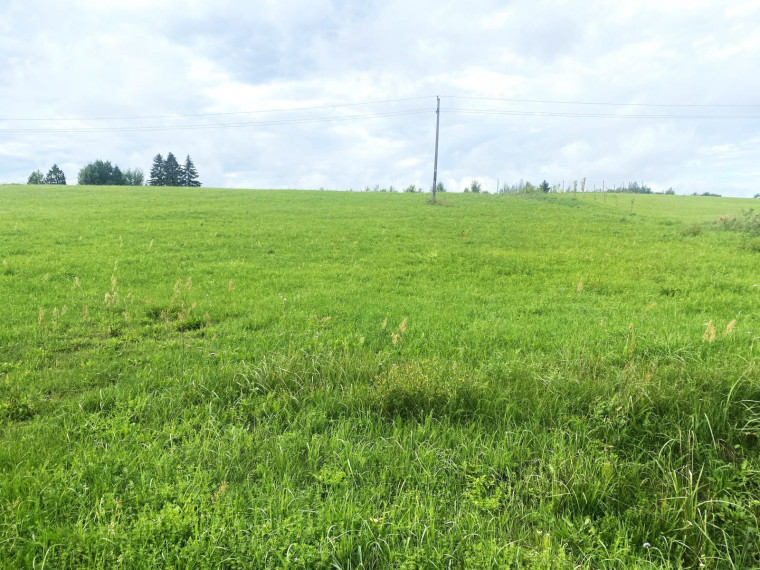Parduodamas sklypas Sudeikių mstl., Utenos r. sav., 66.00 a ploto 3
