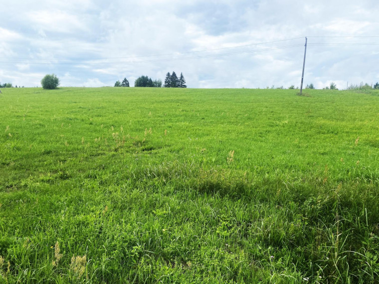 Parduodamas sklypas Sudeikių mstl., Utenos r. sav., 66.00 a ploto 4