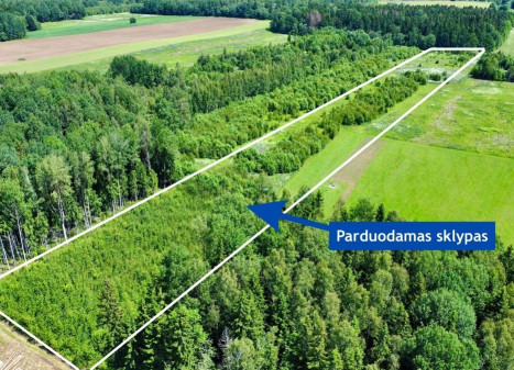 Parduodamas sklypas Ančeriškių k., Vilniaus r. sav., 284 a ploto Parduodamas sklypas Ančeriškių k., Vilniaus r. sav., 284 a ploto