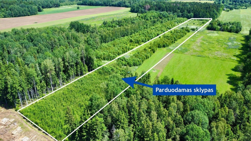 Parduodamas  sklypas Ančeriškių k., Vilniaus r. sav., 284 a ploto 1