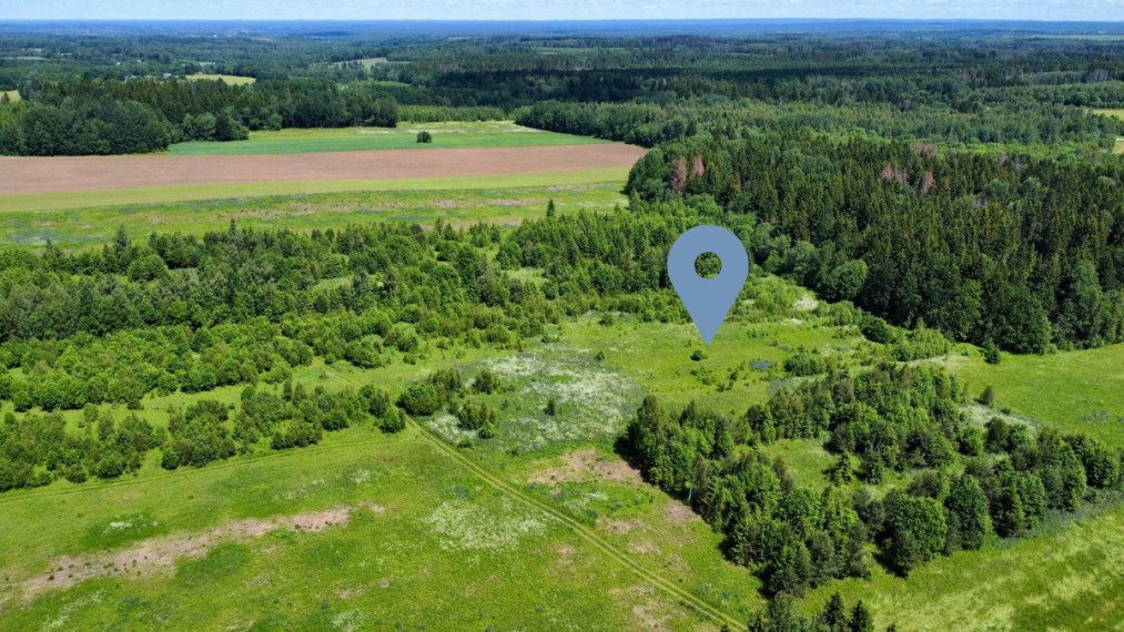 Parduodamas  sklypas Ančeriškių k., Vilniaus r. sav., 284 a ploto 4