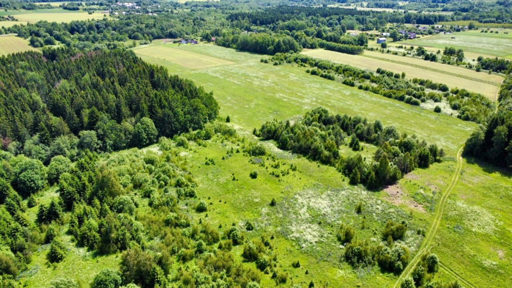 Parduodamas  sklypas Ančeriškių k., Vilniaus r. sav., 284 a ploto 8