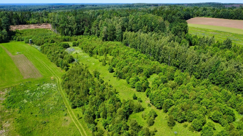 Parduodamas  sklypas Ančeriškių k., Vilniaus r. sav., 284 a ploto 9