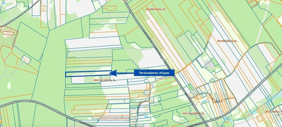 Parduodamas  sklypas Ančeriškių k., Vilniaus r. sav., 284 a ploto 11