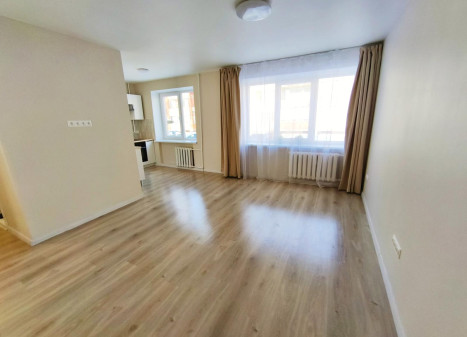 Parduodamas butas Noriūnų k., Kupiškio r. sav., 46.00 m² ploto 2 kambariai Parduodamas butas Noriūnų k., Kupiškio r. sav., 46.00 m² ploto 2 kambariai