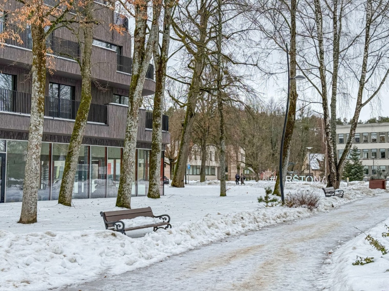 Nuomojamos administracinės, kitos paskirties, maitinimo, paslaugų, prekybos patalpos Jaunimo g., Birštono m., Birštono sav., 235.06 m2 ploto 7