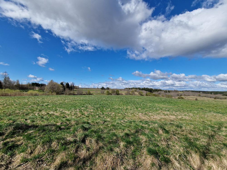 Parduodamas namas Krupelių k., Molėtų r. sav., 83.03 m² ploto 3 kambariai 11
