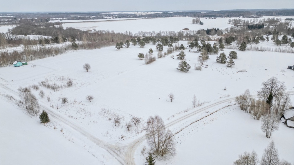 Parduodamas  sklypas Plikiškių g., Plikiškių k., Širvintų r. sav., 24.7 a ploto 7