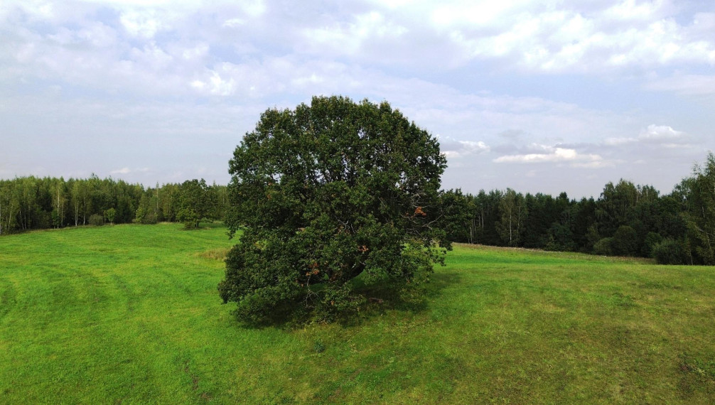 Parduodamas sklypas Aukštakalnio vs., Utenos r. sav., 506.12 a ploto 11