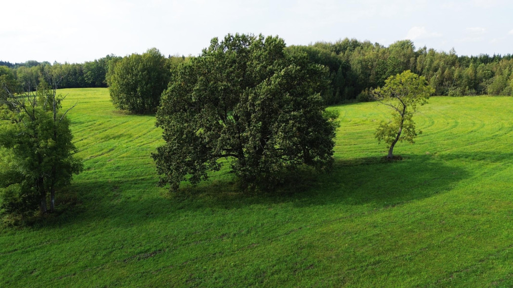 Parduodamas sklypas Aukštakalnio vs., Utenos r. sav., 506.12 a ploto 13