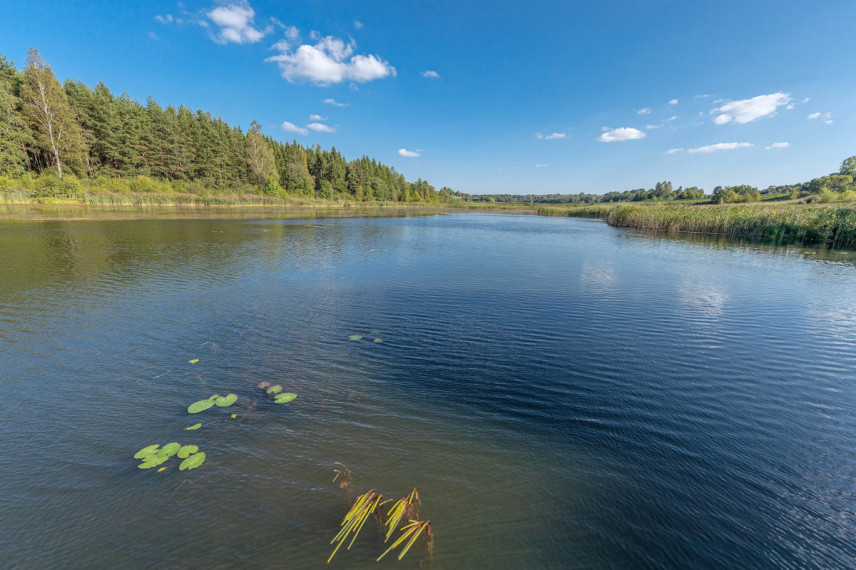 Parduodamas  sklypas Tvenkinių g., Levaniškių k., Širvintų r. sav., 68.27 a ploto 18