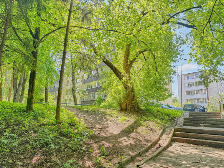 Parduodamas butas Žirmūnų g., Vilniaus m., Vilniaus m. sav., 99.29 m2 ploto, 4 kambariai 33