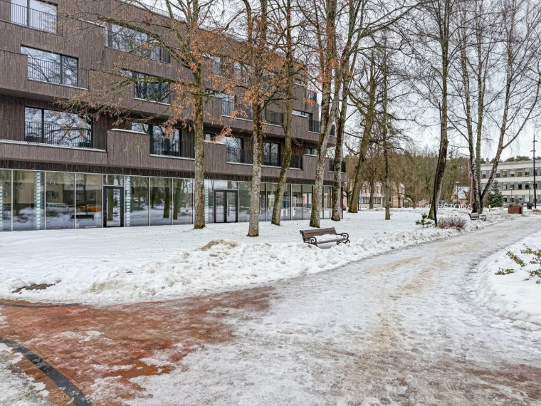 Nuomojamos administracinės, kitos paskirties, maitinimo, paslaugų, prekybos patalpos Jaunimo g., Birštono m., Birštono sav., 91.07 m2 ploto 12