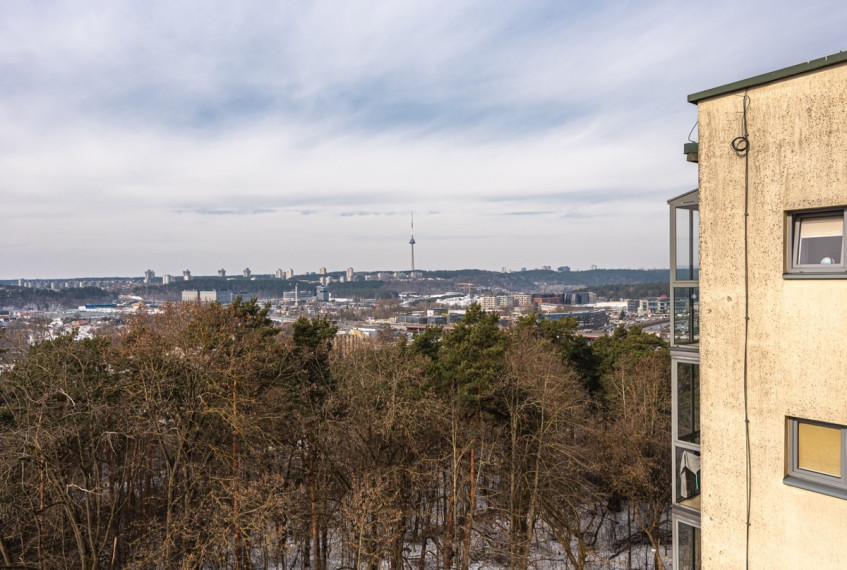 Parduodamas butas Vilkpėdės g., Vilniaus m., Vilniaus m. sav., 125 m2 ploto, 5 kambariai 24
