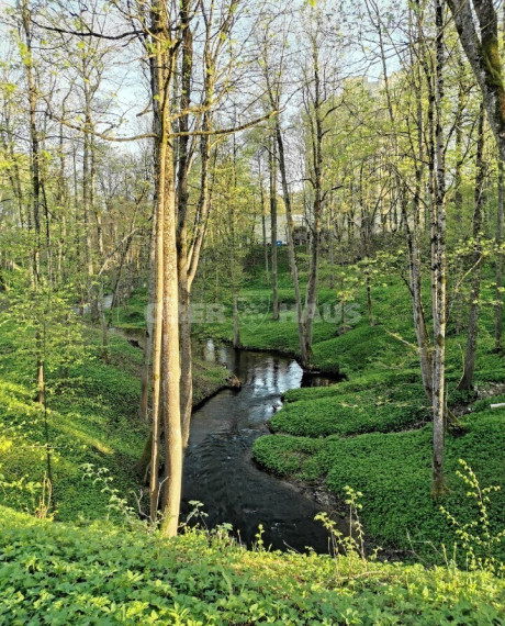 Parduodamas butas T. Kosciuškos g., Druskininkų m., Druskininkų sav., 73.56 m2 ploto, 3 kambariai 31