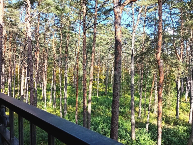 Parduodamas butas T. Kosciuškos g., Druskininkų m., Druskininkų sav., 73.56 m2 ploto, 3 kambariai 38