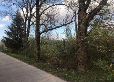 Parduodamas sklypas Mykoliškių g., Mykoliškių k., Vilniaus r. sav., 54 a ploto Parduodamas sklypas Mykoliškių g., Mykoliškių k., Vilniaus r. sav., 54 a ploto