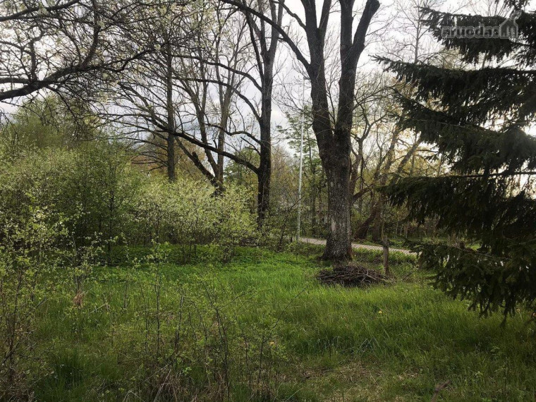 Parduodamas sklypas Mykoliškių g., Mykoliškių k., Vilniaus r. sav., 54 a ploto 3