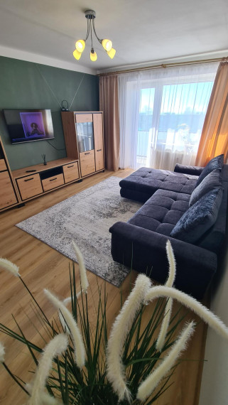Parduodamas butas Žemaitės g., Raseinių m., Raseinių r. sav., 46.00 m² ploto 2 kambariai 4