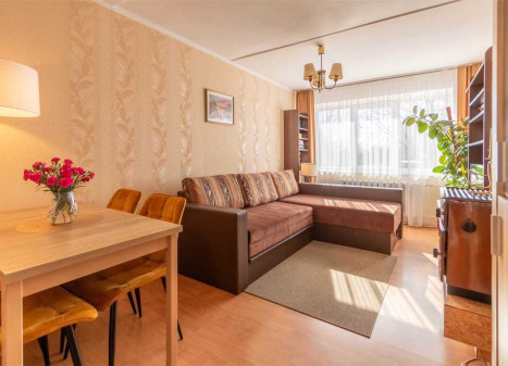 Parduodamas 2 kambarių butas Ramioji g., Liūdynės k., Panevėžio r. Parduodamas 2 kambarių butas Ramioji g., Liūdynės k., Panevėžio r.
