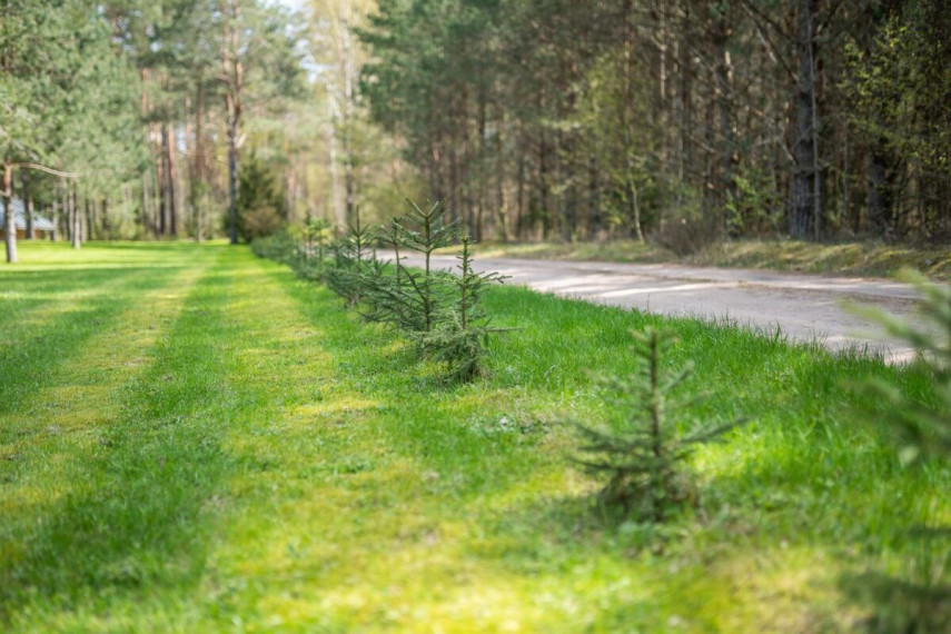 Parduodamas namas Pašerinės k., Švenčionių r. sav., 160 m2 ploto, 2 aukštai 31