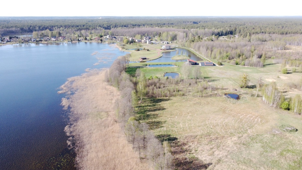 Parduodamas  sklypas Daugintų g., Grūto k., Druskininkų sav., 18 a ploto 6