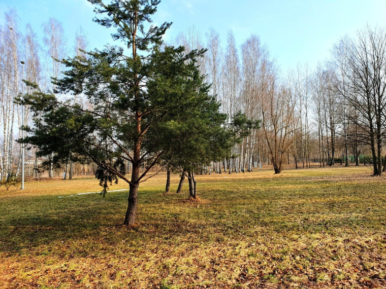 Parduodamas kitos paskirties sklypas Kempingo g., Marijampolės m., Marijampolės sav., 1 a ploto 7