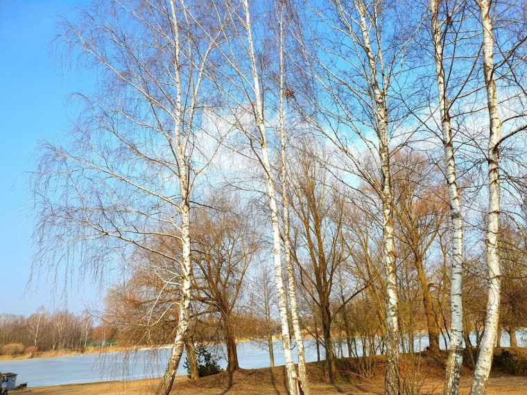 Parduodamas kitos paskirties sklypas Kempingo g., Marijampolės m., Marijampolės sav., 1 a ploto 9